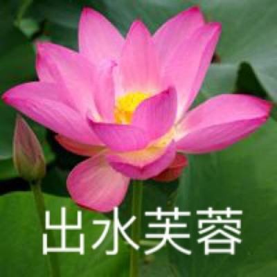 一统江山手游下载